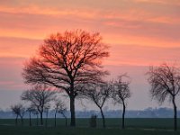 IMG 6999 7000 7001 fused